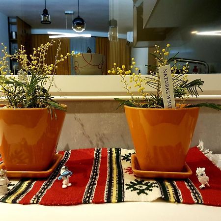 טיראנה Central Luxury Apartment מראה חיצוני תמונה