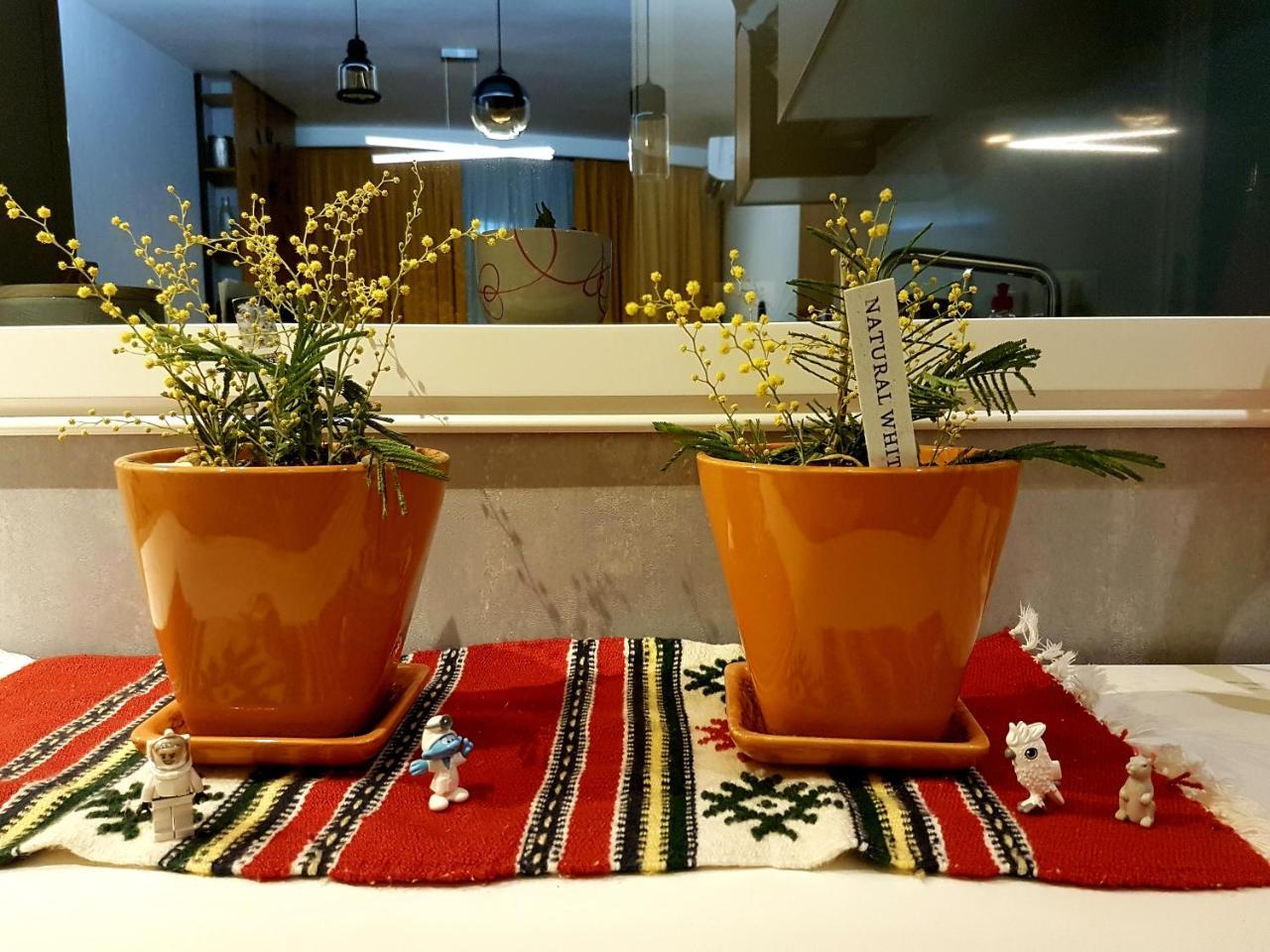 טיראנה Central Luxury Apartment מראה חיצוני תמונה